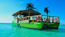 Private Party Cruise in Negril from Montego Bay