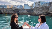 1 Hour and a Half Panoramic Tour of Polignano a Mare by Boat