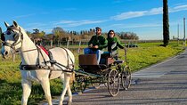 Horse Carriage Tour and Wine Tasting in Lazise