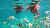 Half-Day Snorkeling Cruise and Natural Pool with Open Bar
