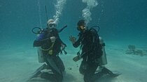 Open Water Diving with PADI Course Licenses at Hurghada