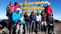 8-Day Mount Kilimanjaro via Lemosho Route Climb