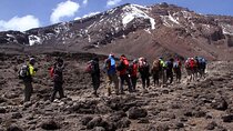 7 Days Climb Kilimanjaro via Machame Route