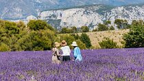 Private Tour of Gorges of Verdon and Fields of Lavender in Nice