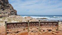 2-Day Best Private Tour Robben Island, Table Mountain, Cape Point