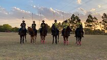 Argentina Polo Experience by La Guapeada Polo