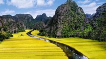 Full Day From Hanoi - Ninh Binh - Hoa Lu - Tam Coc - Mua Cave