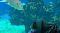 Oceanarium, Telecabine and San George Castelo Full Day Trip