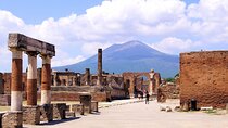Day Trip of Pompeii, Herculaneum and Vesuvius from Naples