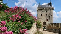 Loire Valley Wine Region: Private Full Day Tour from Tours
