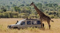 5 Days Budget Joining Adventure Camping Safari