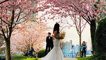  Vancouver City Tour with Cherry Blossom Festival Private