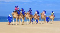 Half Day Guided Camel Safari in Cabo San Lucas