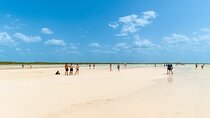 Full Day Holbox Island Tour from Playa del Carmen with Lunch