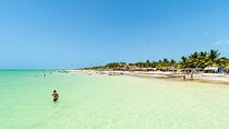 Full Day Holbox Island Tour from Cancun with Lunch