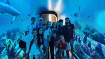 Dubai Aquarium And Underwater Zoo Tickets At Dubai Mall