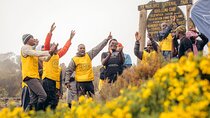 Climbing Kilimanjaro through 8 days Lemosho Route