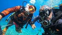 Discover Scuba Diving in Tenerife