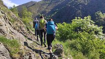 Pyrenees Hiking Experience from Barcelona. Small Group Tour