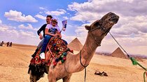 Private Half-Day Tour to Giza Pyramids & Sphinx Entry Cheops & Camel Ride