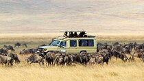 5 Day Balloon Safari Tarangire Ngorongoro and Serengeti