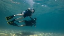 Private Beginner Scuba Diving Experience in Cabo San Lucas