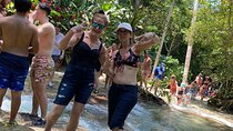 Dunns River Private Tour 