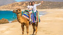 2-Hour Camel Ride Beach and Desert Adventure Experience