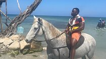  Private Horse Back Riding and Blue hole from Montegobay 