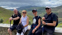 Douro: luxury & private tour with picnic lunch at Quinta da Roêda