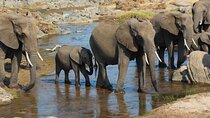 3-Day Camping Safari Tarangire, Lake Manyara & Ngorongoro crater