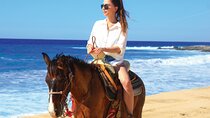 Horseback Riding Beach and Desert Adventure
