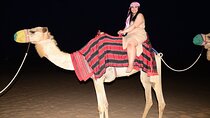 Camel Ride, Dune Bashing & Live Shows with BBQ Dinner in Dubai