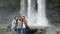 Jeju Island private taxi tour-waterfalls & Oedolgae & Jusangjeoli