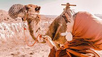 2 Days Cappadocia Trip Including Camel Ride & Balloon Ride