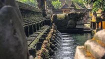 Sacred Spring Experience - Ubud Tour