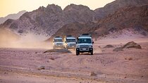 Bedouin Village Jeep Safari with Dinner & Camel Ride In Hurghada