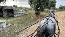 Horseback riding through the Apulian countryside