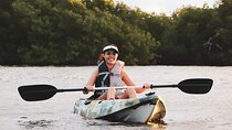 Lagoon Mangrove Tour, Kayaking and Sightseeing from Cancun