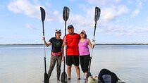 Kayaks at the Mangroves Lagoon Ecosystem from Cancun