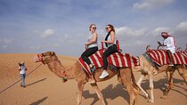 Abu Dhabi Desert Safari: Live Shows, Camel Rides & BBQ Buffet