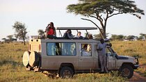 5 Days Serengeti Camping Safari
