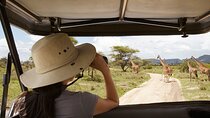2 days Majestic Tanzania safari Tarangire and Ngorongoro Crater