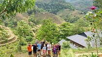 4 Days Trekking Hoang Su Phi, Ha Giang. Private Hiking Group