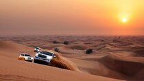 Vip Red Dune Desert Safari Dubai, Camel Ride, BBQ Dinner, Shows