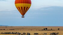 6 Days Private Midrange Tour of Tanzania Safari 