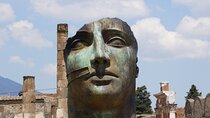Pompeii Herculaneum and Wineries day tour from Naples