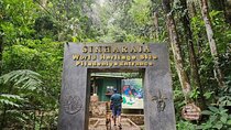 Sinharaja Rain Forest Guided Day Tour