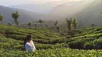 5 Days Kerala Private Premium Tour 
