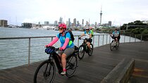 Auckland Half Day E-Bike Excursion